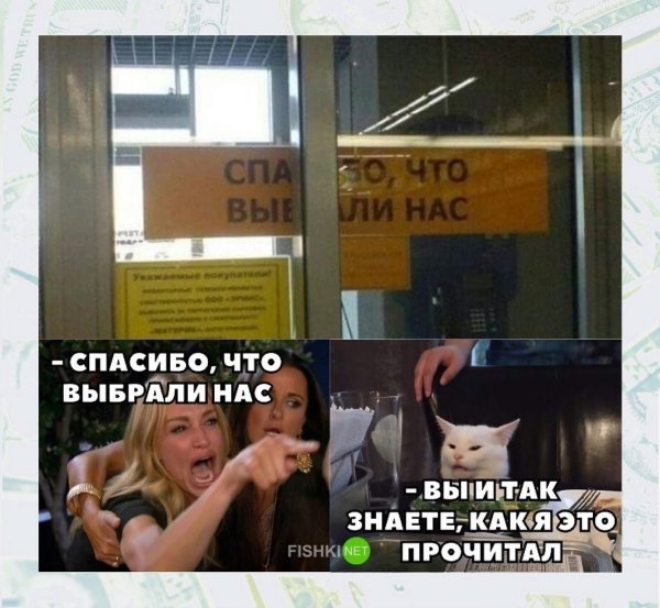 Мемы с котами и девушками