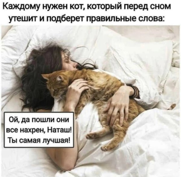 Про Наташу и котов