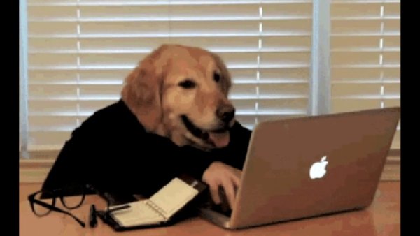 Собачка за ПК