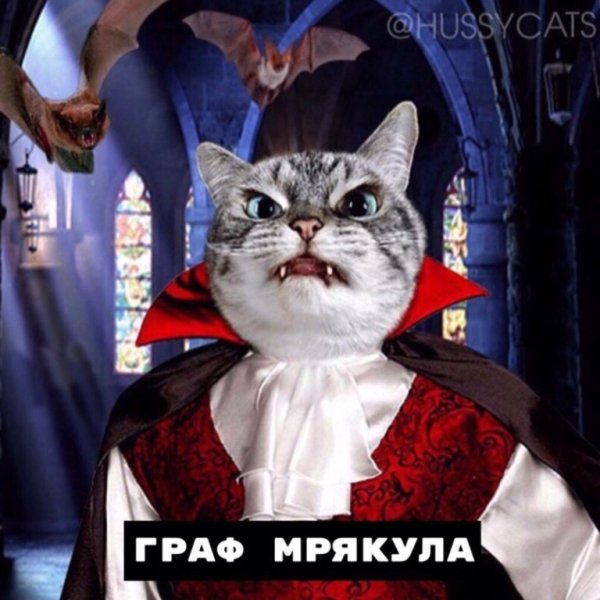 Граф Мрякула кот