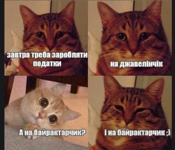 Два кота мемы