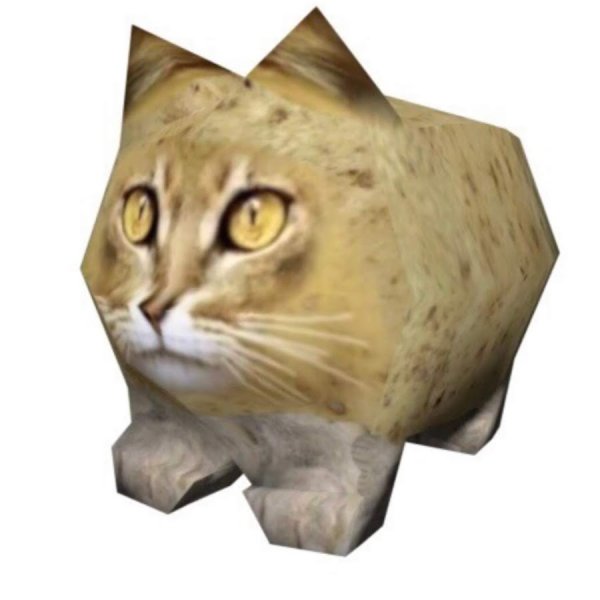 Кот постирония