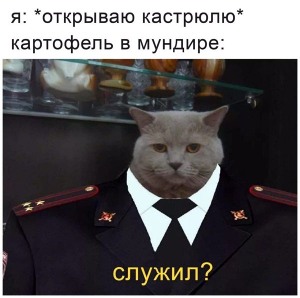 Картошка в мундире служил