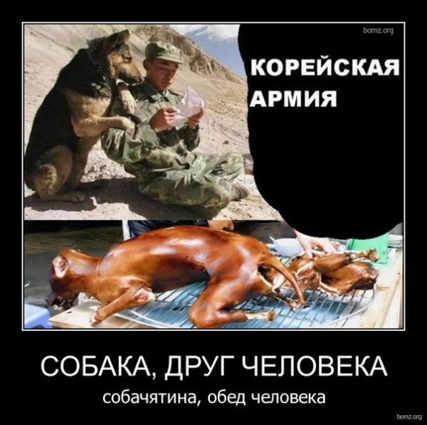 Демотиваторы про щенков