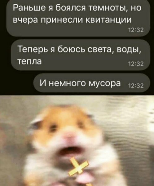 Хомяк Мем