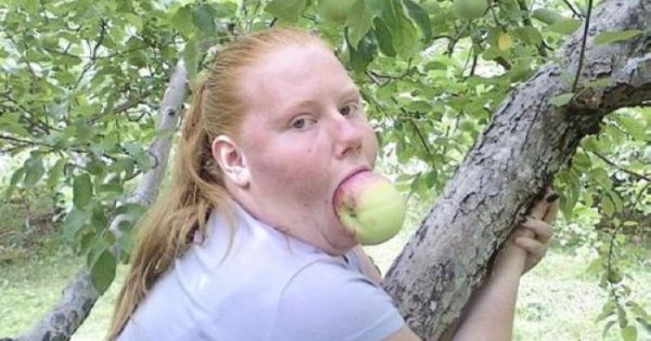 Яблоки юмор