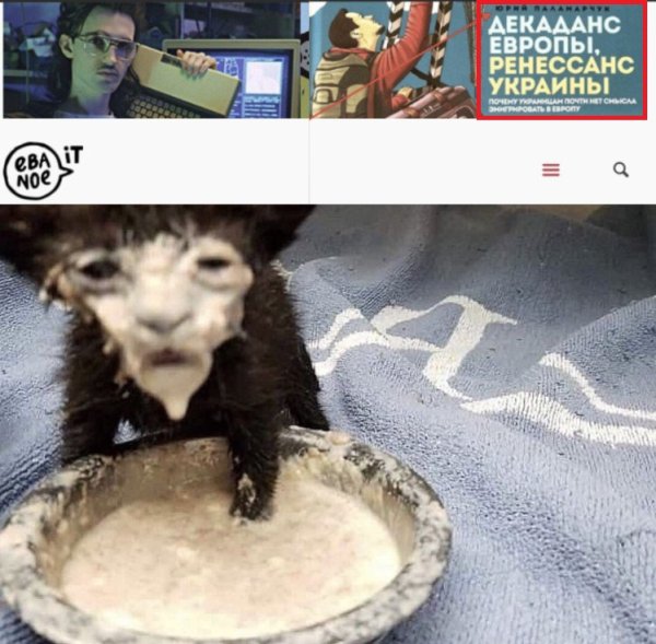 Сметана Мем