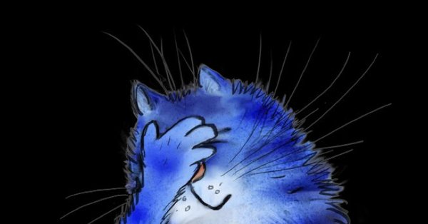 Котёнок с синим ирокезом