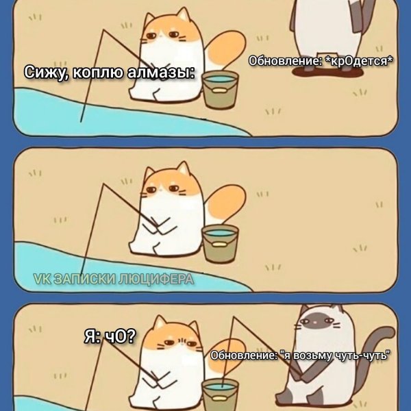 Мемы про котиков