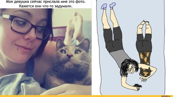 Мем с девушками иикотом