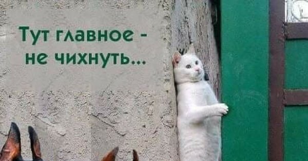 Главное не чихнуть