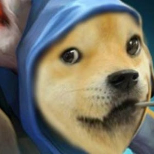 Собака дота 2