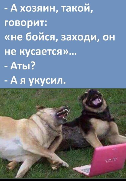 Собака ржет