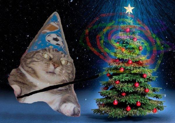 С новым годом котик Мем