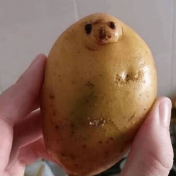 Смешная картошка