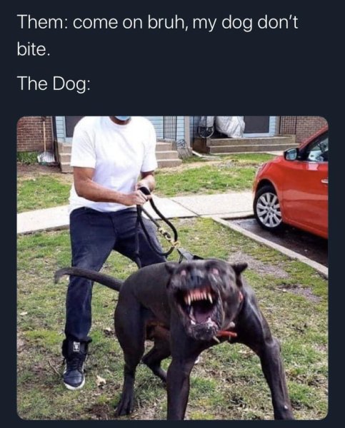 Не бойся она не кусается