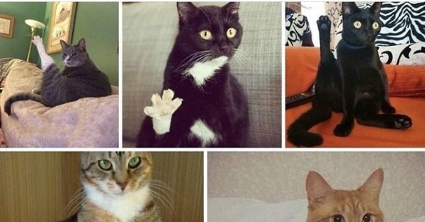 Хоба Дабл хоба