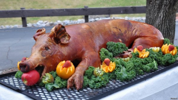 Жареный поросенок