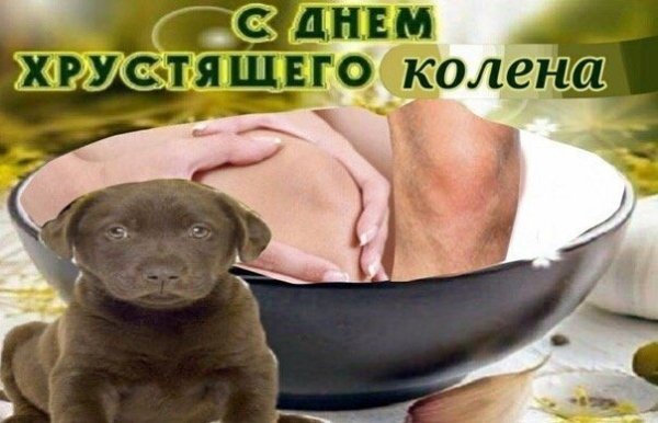 С днем соленого огурца