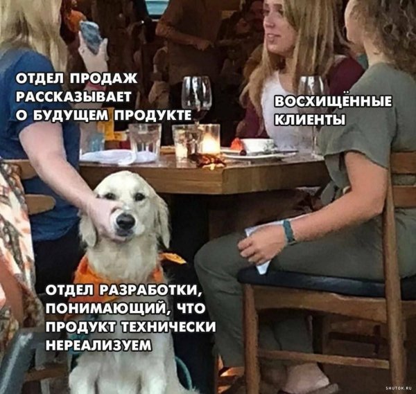 Собака из мема