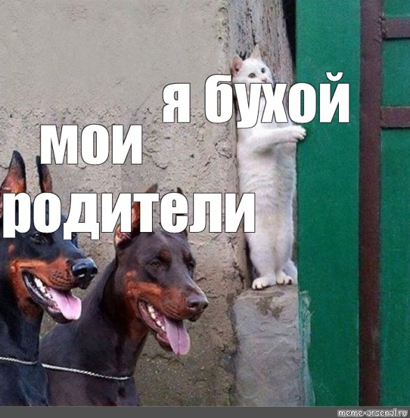 Доберман Мем