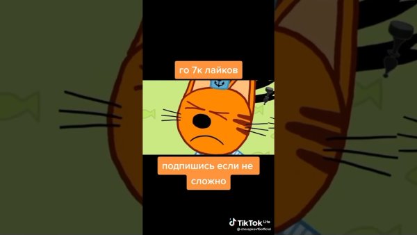 Три кота мемы