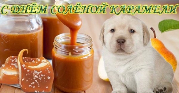 С днем молольного огкрчика