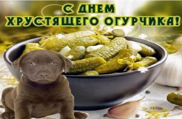 С днем соленого огурца