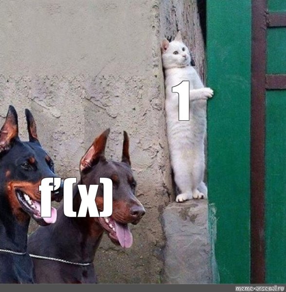 Кот и Доберманы Мем