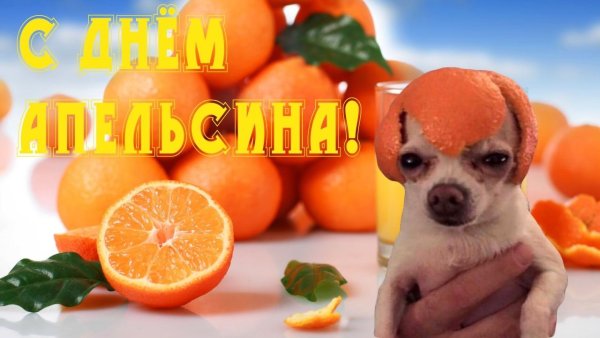 С днем хрустячего огурчик