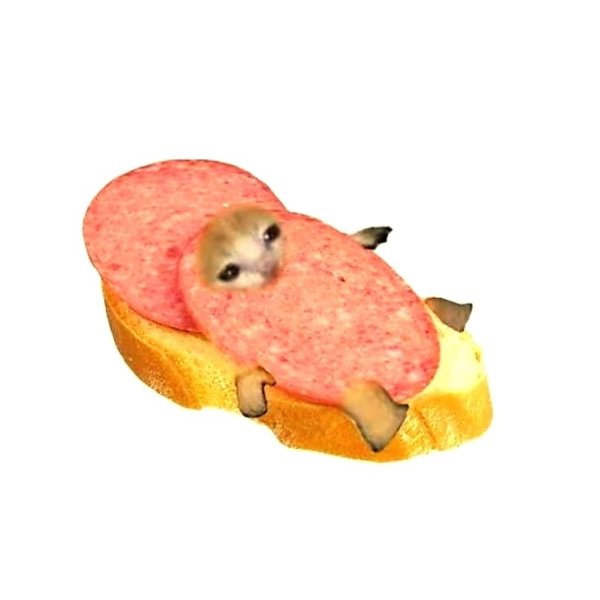 Котики фрукты