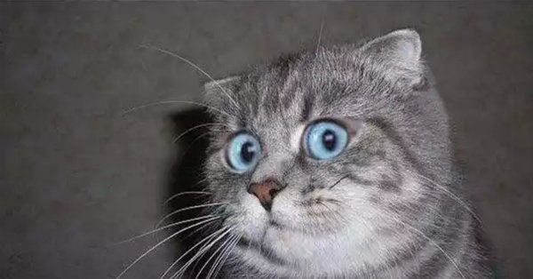 Белентьев Антон Барнаул