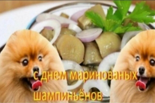 С днём солёного огурчика с собакой