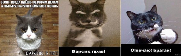 Бесит когда идёшь по своим делам