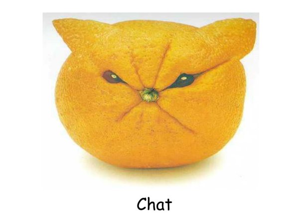 Смешной мандарин