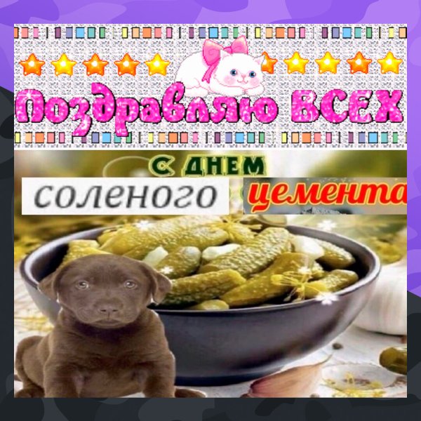 С днем соленого огурца