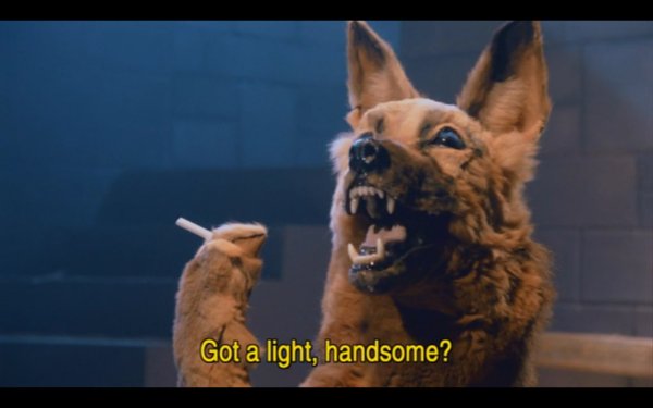 Курящий пес Мем