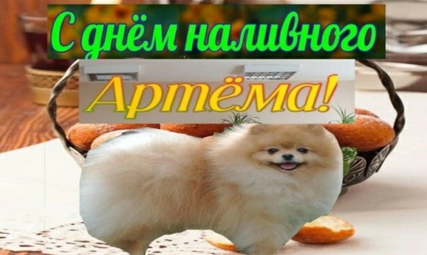 С днём хрустящего цемента