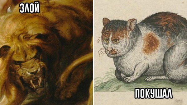 Бахнув пельменей Мем