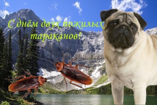 С днем хрустящего