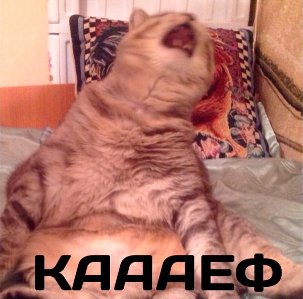 Сил моих больше нет