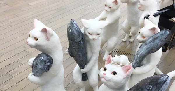 Мем про Рыбов