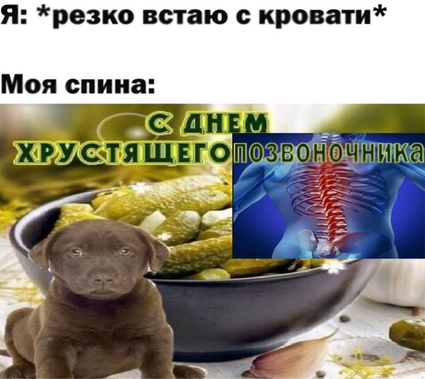 С днем хрустящего колена