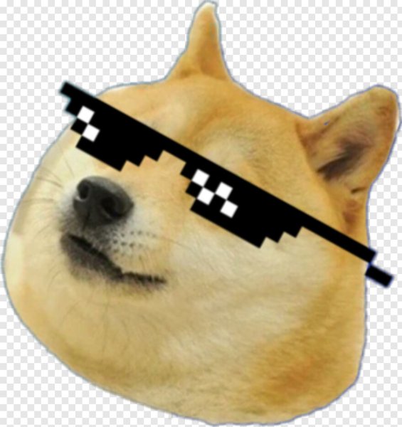 Doge в очках