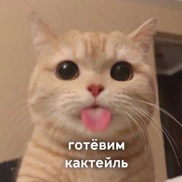 Коттс языком в трубочку