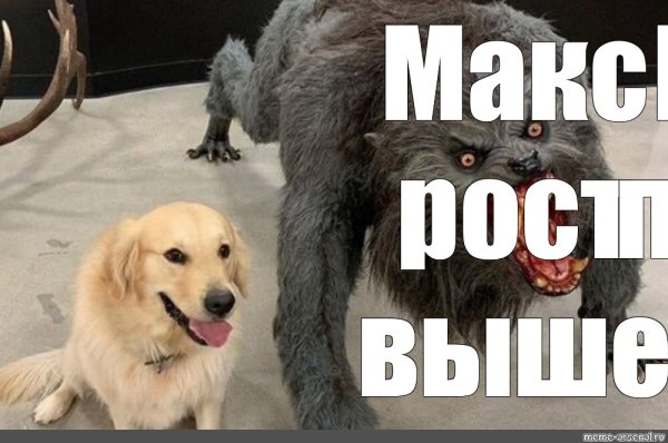 Мемы с собаками