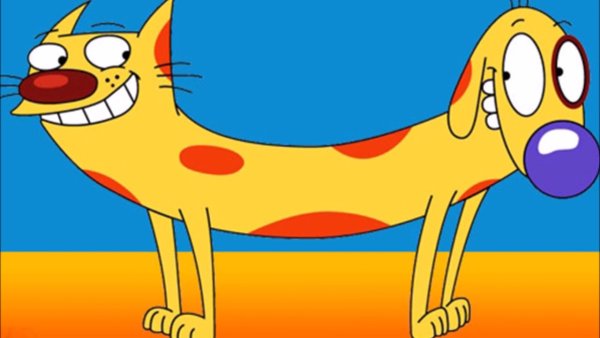 Мультфильм Котопес