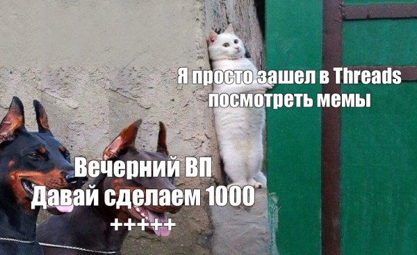 Мем Доберман « я если узнать Еня побоиде»