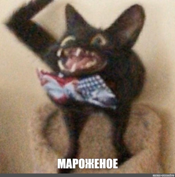 Упоротые котики