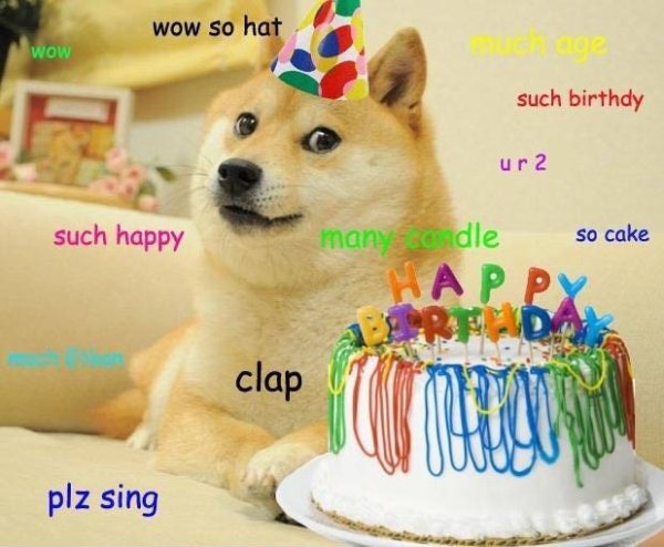 С днем рождения дог